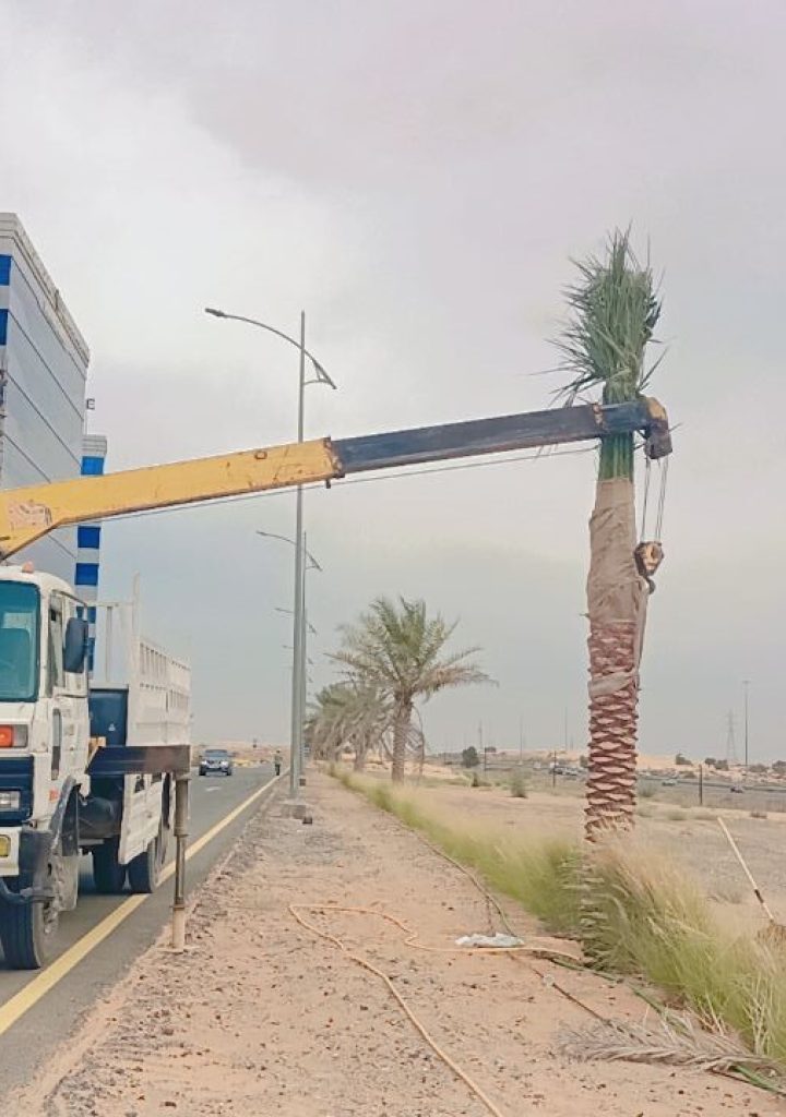 WhatsApp Image 2025-03-20 at 23.47.43_3f9704c9